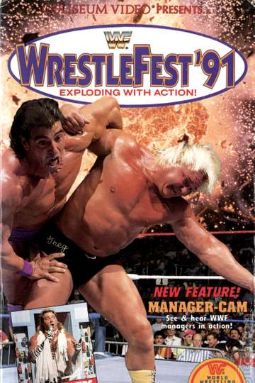 WWE WrestleFest 91