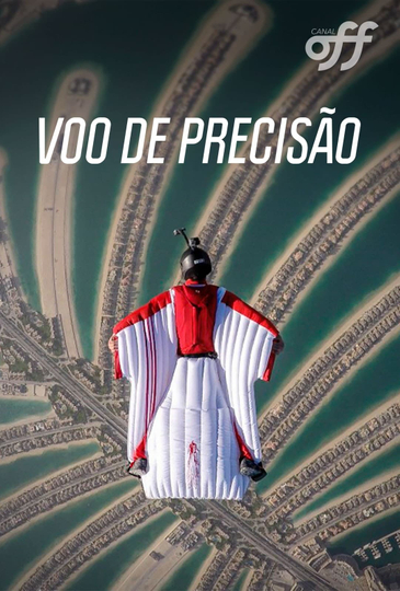 Voo De Precisão