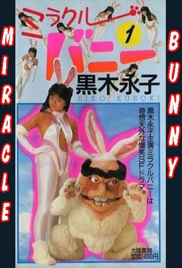 Miracle Bunny Poster