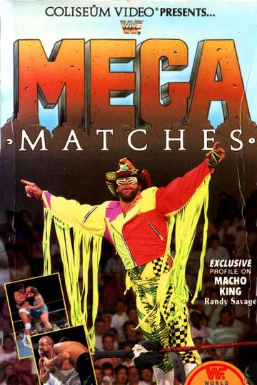 WWE Mega Matches Poster