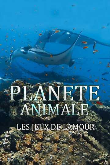 Planète Animale : Les jeux de l'amour