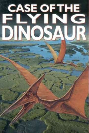 The Case of the Flying Dinosaur Poster