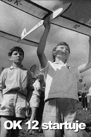 OK 12 startuje Poster