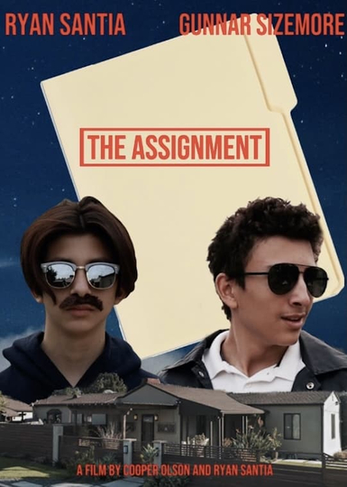 The Assignment Poster