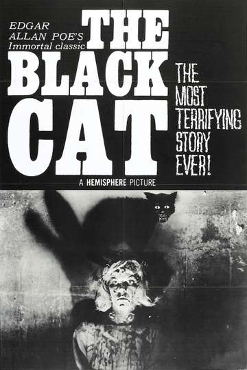 The Black Cat Poster