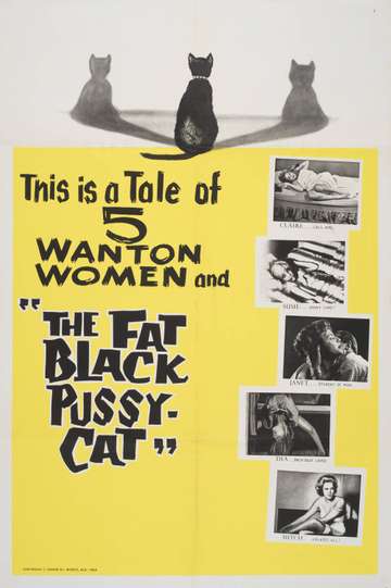 The Fat Black Pussycat Poster