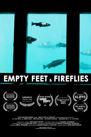 Empty Feet  Fireflies