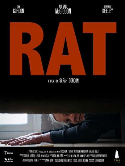 Rat - Movie Cast, Reviews, Trailers & Streaming Info | Moviefone