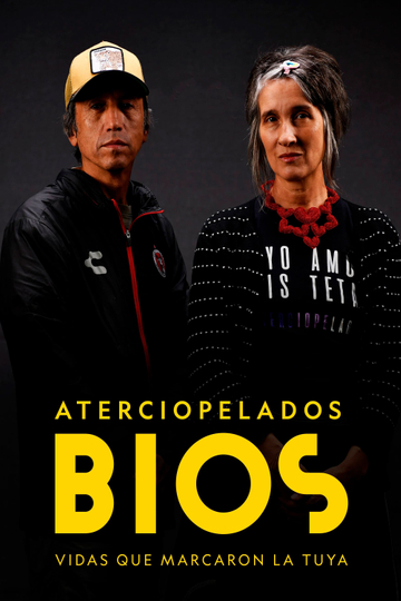 Bios, vidas que marcaron la tuya: Aterciopelados Poster