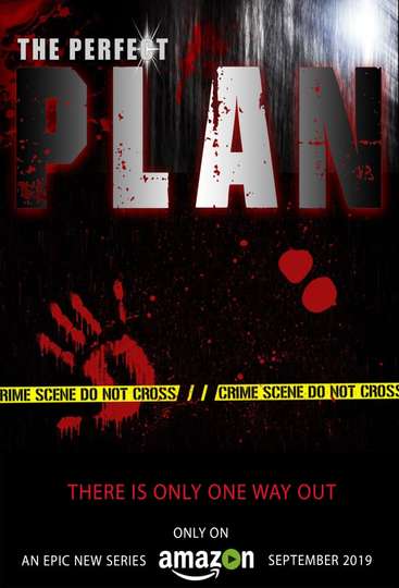 The Perfect Plan Poster
