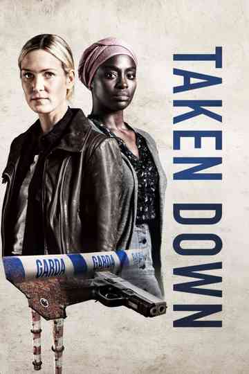 Taken Down Poster