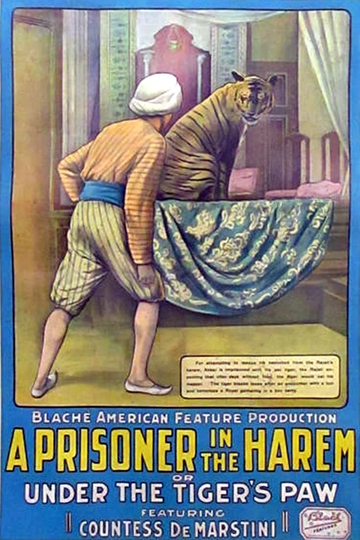 A Prisoner in the Harem