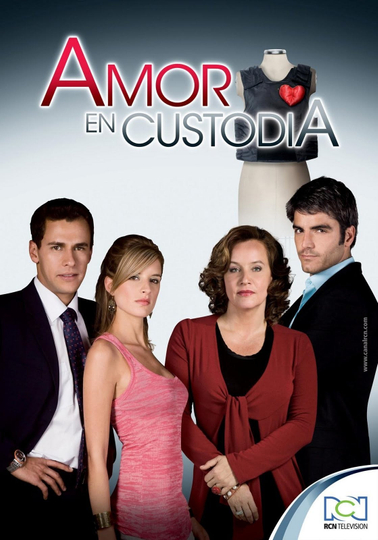 Amor en custodia Poster