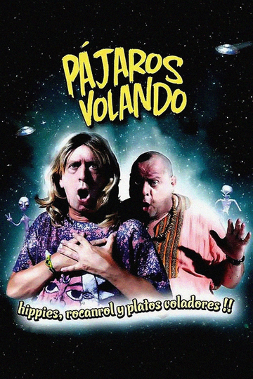 Pájaros volando Poster