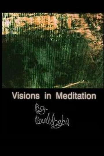 Visions in Meditation