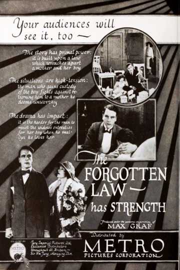 The Forgotten Law Poster