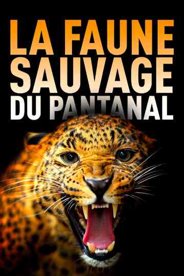 Among Big Cats and Anteaters - With Lydia Möcklinghoff in Brazil's wildlife Poster