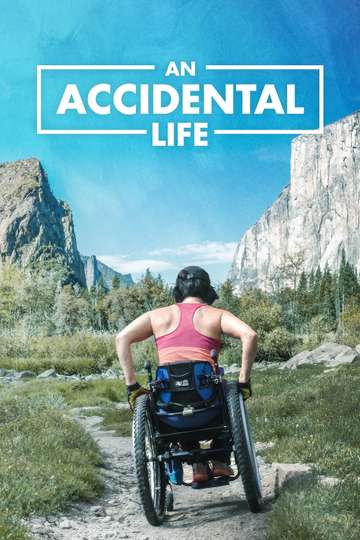 An Accidental Life Poster