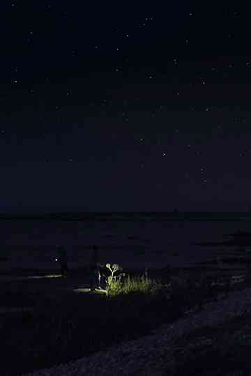 EVENTIDE