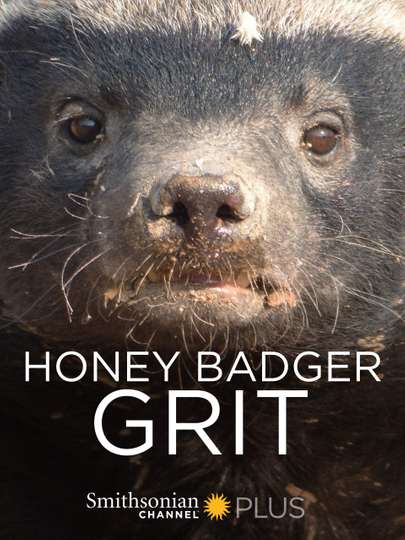 Honey Badger Grit Poster