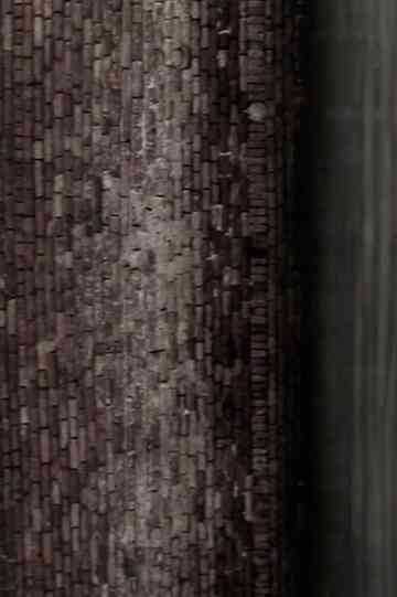 The Little White Doves Poster