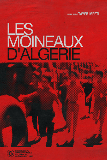 Les Moineaux dAlgérie