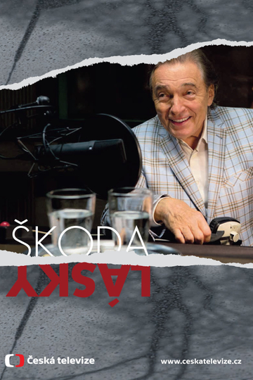 Škoda lásky Poster