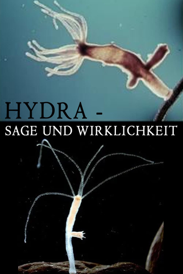 Hydra  Legend and Reality