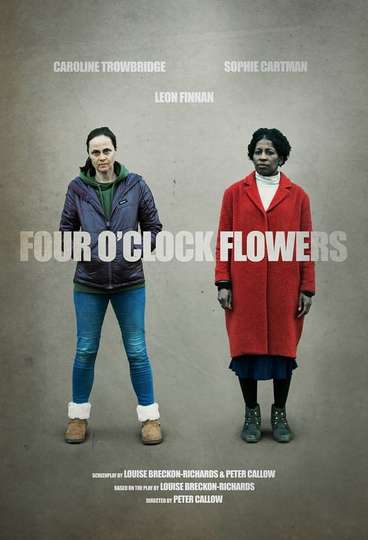 Four OClock Flowers Poster