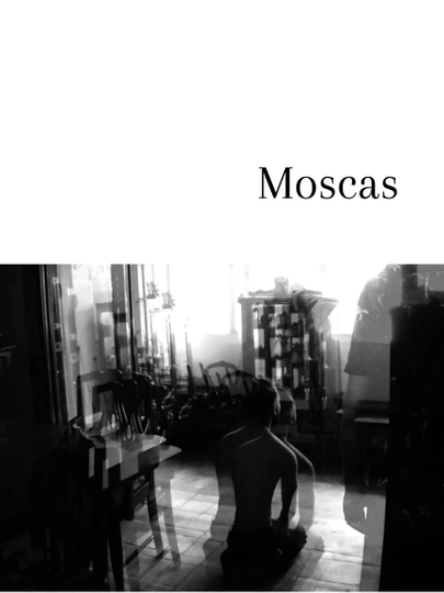 Moscas