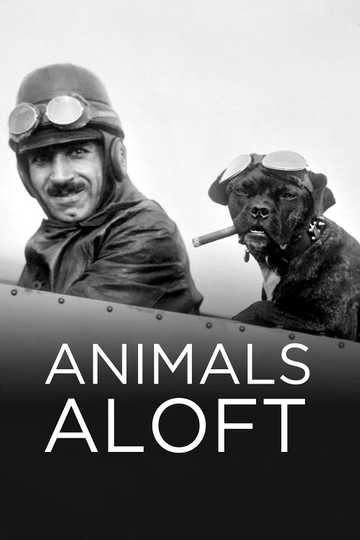 Animals Aloft