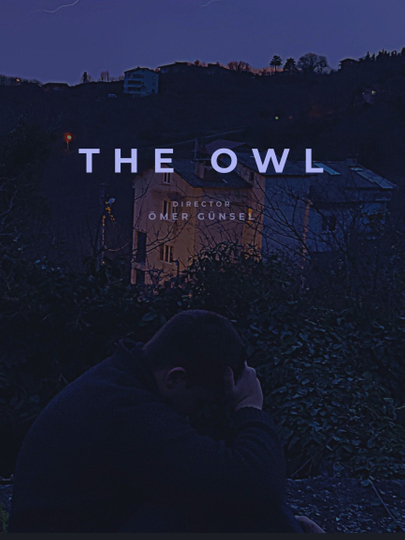 The Owl Poster