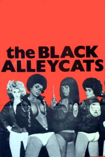 The Black Alley Cats Poster