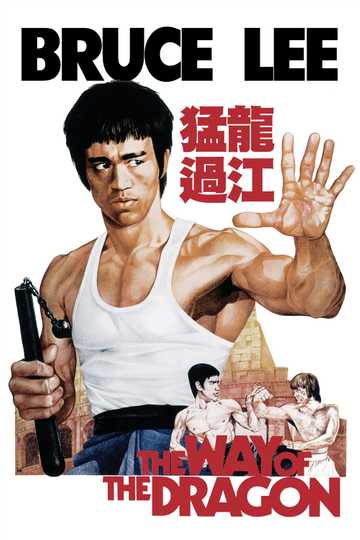 The Way of the Dragon Poster