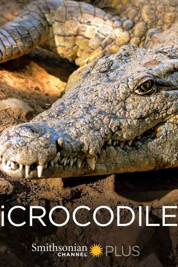 iCrocodile Poster