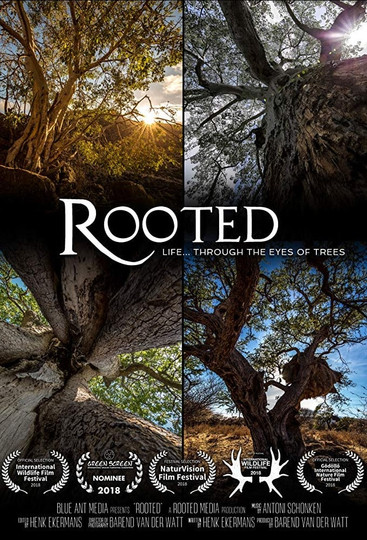 Rooted Poster