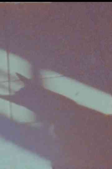 3November