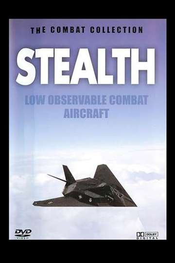 Stealth Low Observable Combat Aircraft