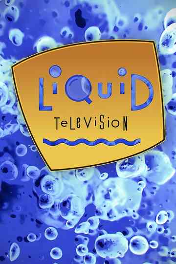 Liquid Television poster