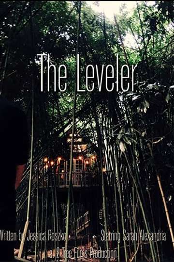 The Leveler Poster