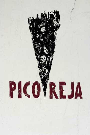 Pico Reja The Truth Buried Beneath