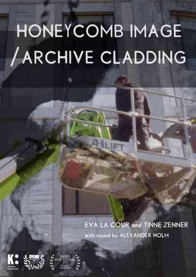 Honeycomb Image  Archive Cladding Poster