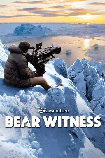 Bear Witness Poster