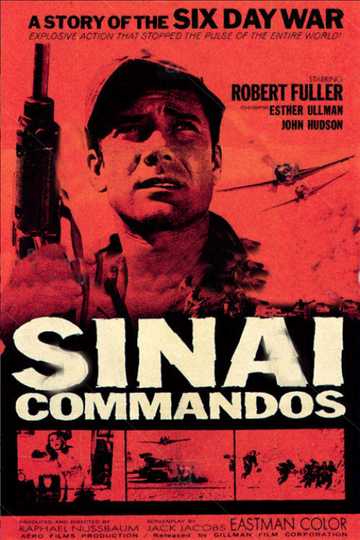 Sinai Commados Poster