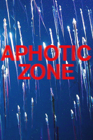 Aphotic Zone