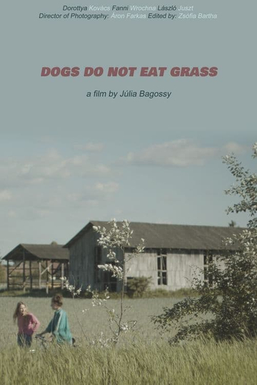 Dogs Do Not Eat Grass