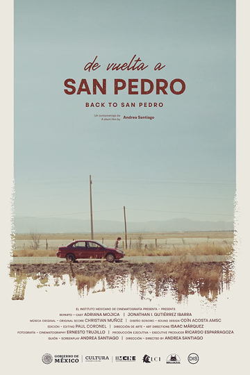 De vuelta a San Pedro Poster