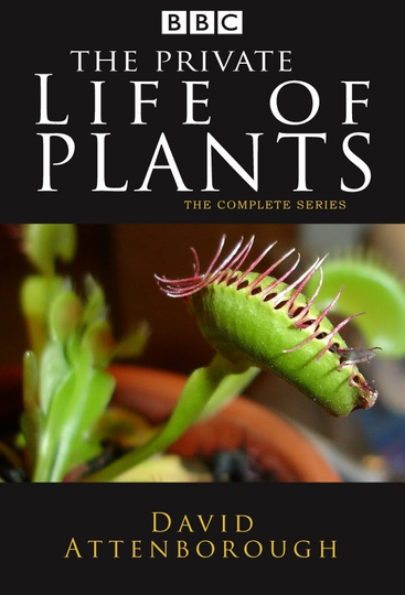 The Private Life of Plants