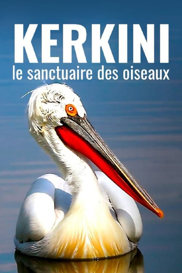 Kerkini The Bird Sanctuary