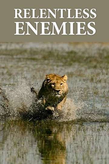 Relentless Enemies: Revealed Poster